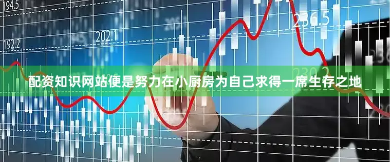 配资知识网站便是努力在小厨房为自己求得一席生存之地