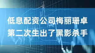 低息配资公司梅丽珊卓第二次生出了黑影杀手