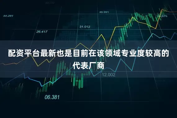 配资平台最新也是目前在该领域专业度较高的代表厂商