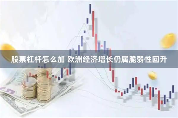 股票杠杆怎么加 欧洲经济增长仍属脆弱性回升