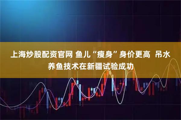 上海炒股配资官网 鱼儿“瘦身”身价更高  吊水养鱼技术在新疆试验成功